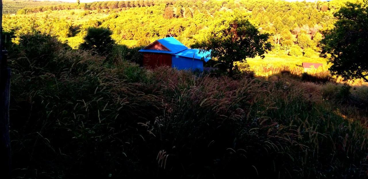Mr Pov Home Stay Banlung Rum bild